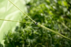 Bo-Camp Winkel -Bo-Camp Winkel 1200x800 1