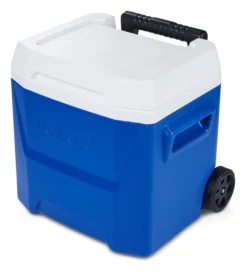 Koelbox Igloo Laguna 16 Roller Blue 2021 18 Koelbox Igloo Laguna 16 Roller Blue 2021 -Bo-Camp Winkel 6 00034518 H3